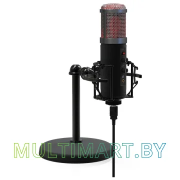 Микрофон Ritmix RDM-260 USB Eloquence картинка 6